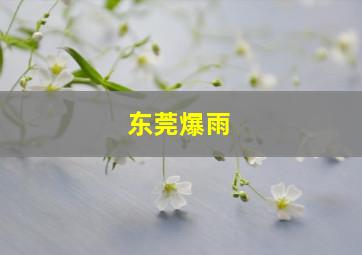 东莞爆雨