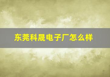 东莞科晟电子厂怎么样