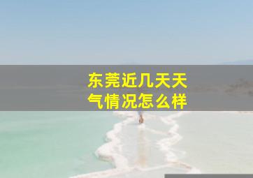 东莞近几天天气情况怎么样