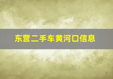 东营二手车黄河口信息