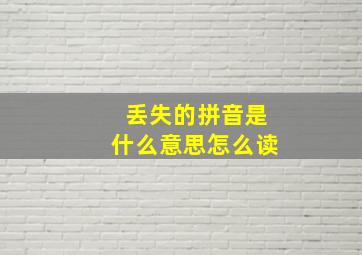 丢失的拼音是什么意思怎么读