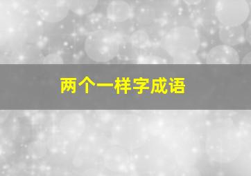 两个一样字成语