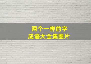 两个一样的字成语大全集图片