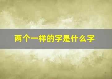 两个一样的字是什么字