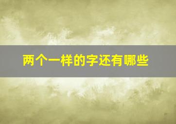 两个一样的字还有哪些