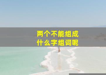 两个不能组成什么字组词呢