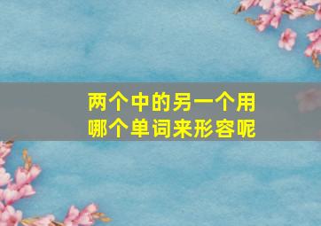 两个中的另一个用哪个单词来形容呢