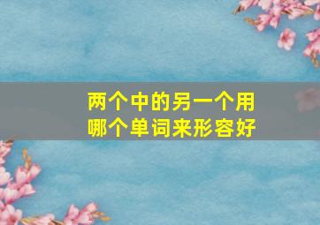 两个中的另一个用哪个单词来形容好