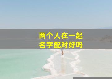 两个人在一起名字配对好吗