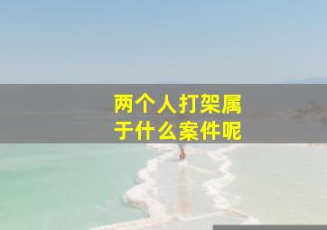 两个人打架属于什么案件呢