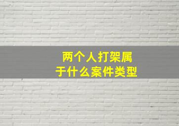 两个人打架属于什么案件类型