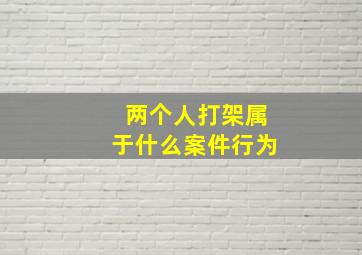 两个人打架属于什么案件行为