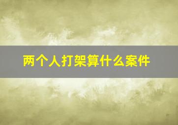 两个人打架算什么案件