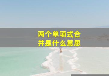 两个单项式合并是什么意思