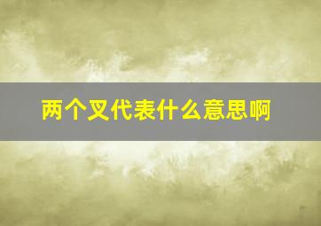 两个叉代表什么意思啊