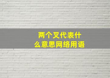 两个叉代表什么意思网络用语