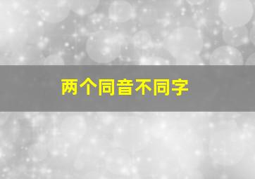 两个同音不同字