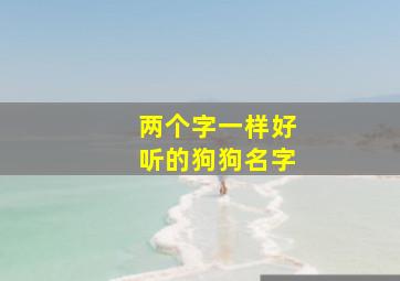 两个字一样好听的狗狗名字