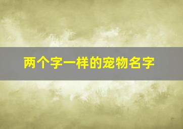 两个字一样的宠物名字