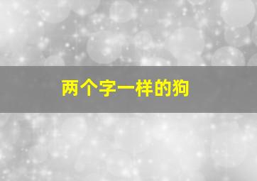 两个字一样的狗