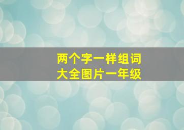 两个字一样组词大全图片一年级