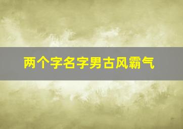 两个字名字男古风霸气