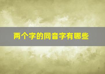 两个字的同音字有哪些