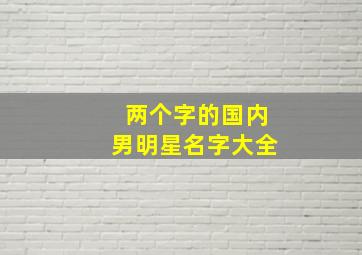 两个字的国内男明星名字大全