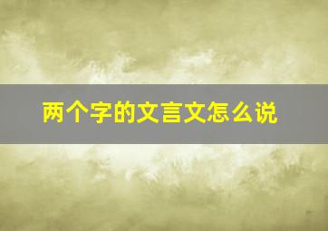 两个字的文言文怎么说