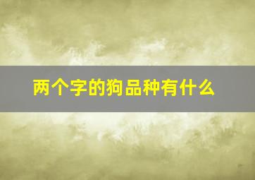 两个字的狗品种有什么