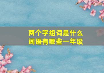 两个字组词是什么词语有哪些一年级