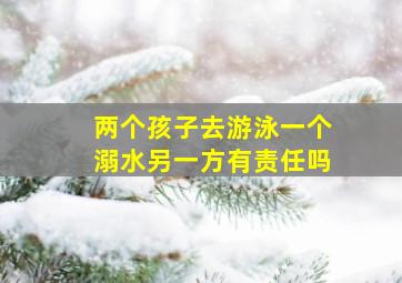 两个孩子去游泳一个溺水另一方有责任吗