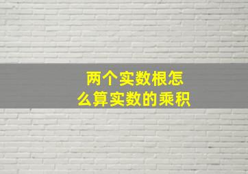 两个实数根怎么算实数的乘积