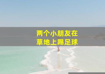 两个小朋友在草地上踢足球