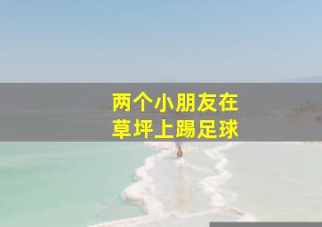 两个小朋友在草坪上踢足球