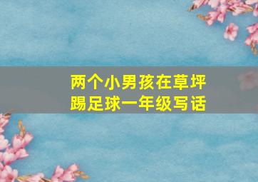 两个小男孩在草坪踢足球一年级写话