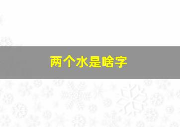 两个水是啥字