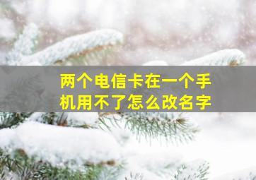 两个电信卡在一个手机用不了怎么改名字