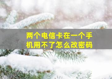 两个电信卡在一个手机用不了怎么改密码