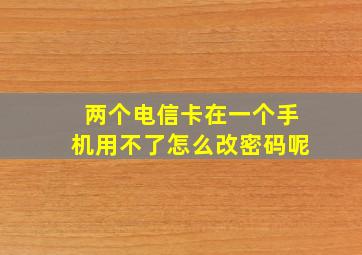 两个电信卡在一个手机用不了怎么改密码呢