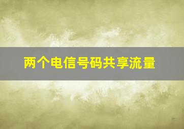 两个电信号码共享流量