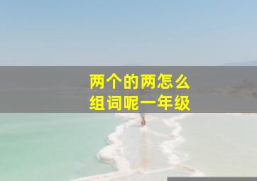 两个的两怎么组词呢一年级