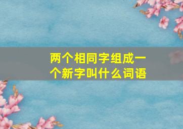 两个相同字组成一个新字叫什么词语