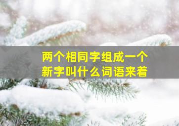 两个相同字组成一个新字叫什么词语来着