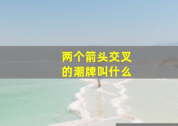 两个箭头交叉的潮牌叫什么