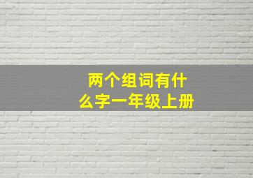 两个组词有什么字一年级上册