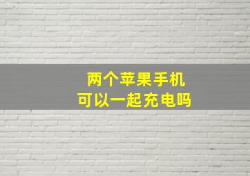 两个苹果手机可以一起充电吗