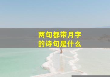 两句都带月字的诗句是什么