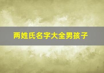 两姓氏名字大全男孩子