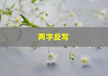 两字反写